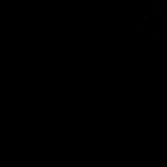 Gildan Other - Blank